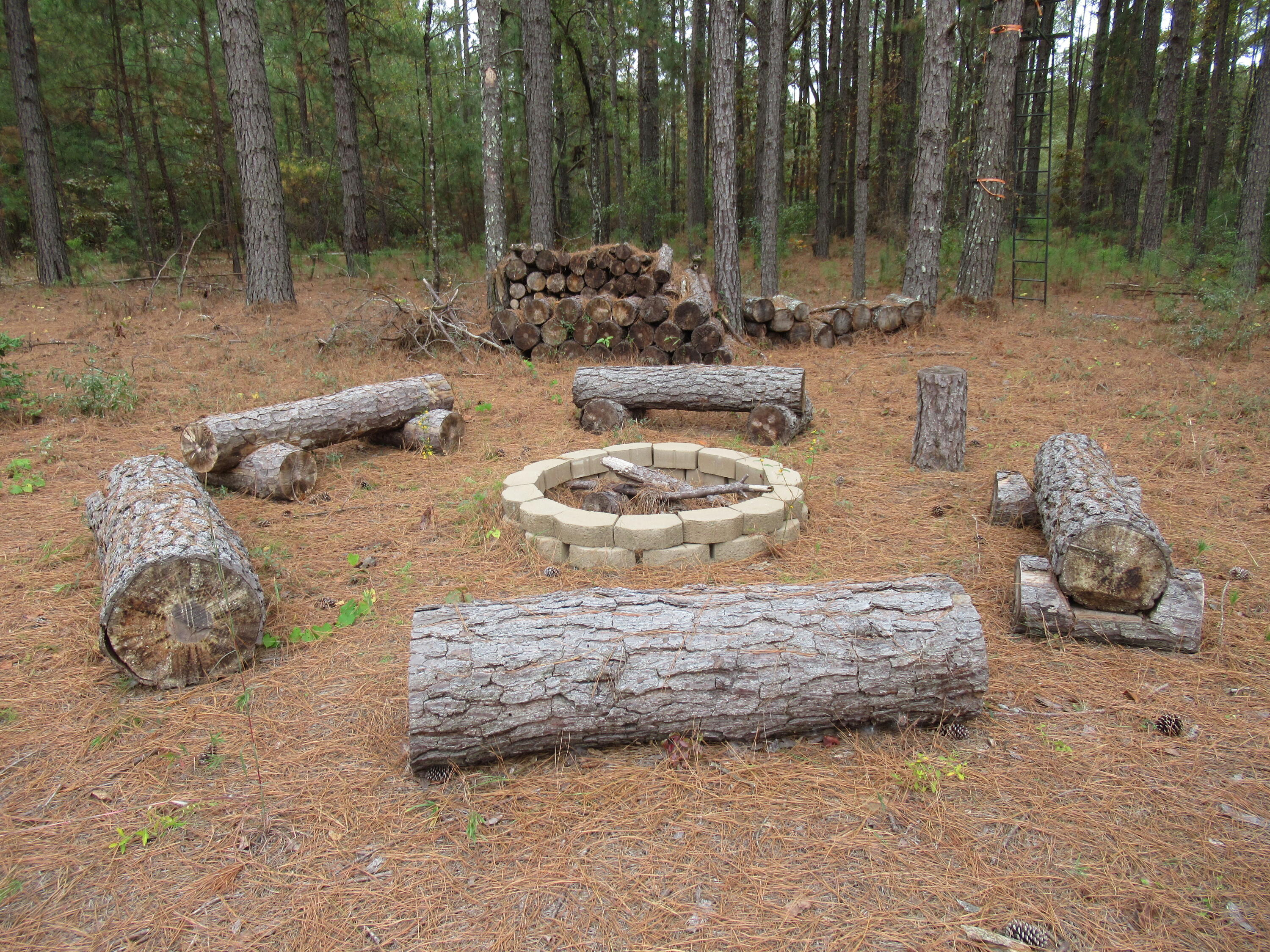 0 Twin Pines Road Keysville, GA 30816 - Photo 9 of 25 IMG_0637
