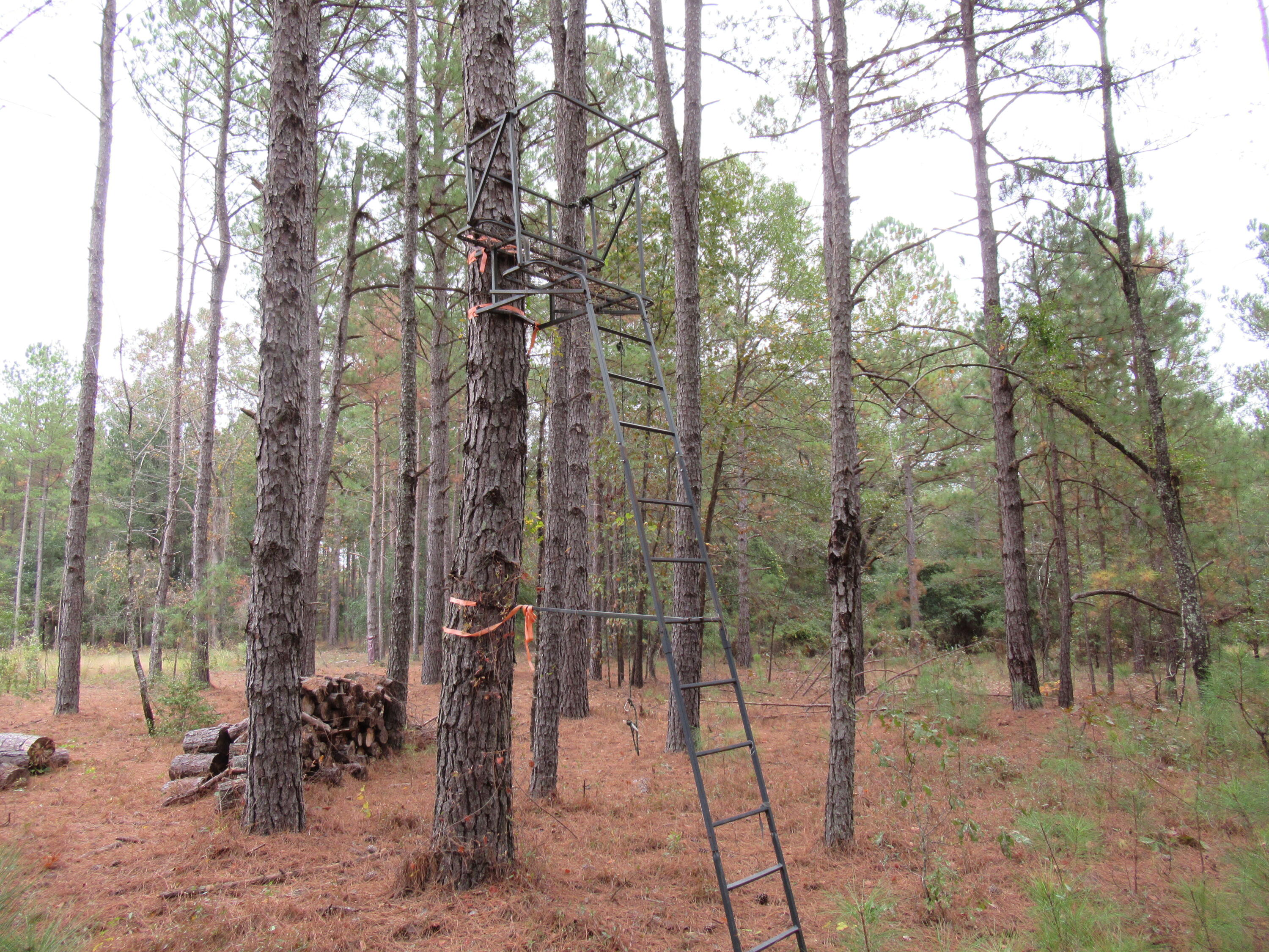 0 Twin Pines Road Keysville, GA 30816 - Photo 10 of 25 IMG_0638