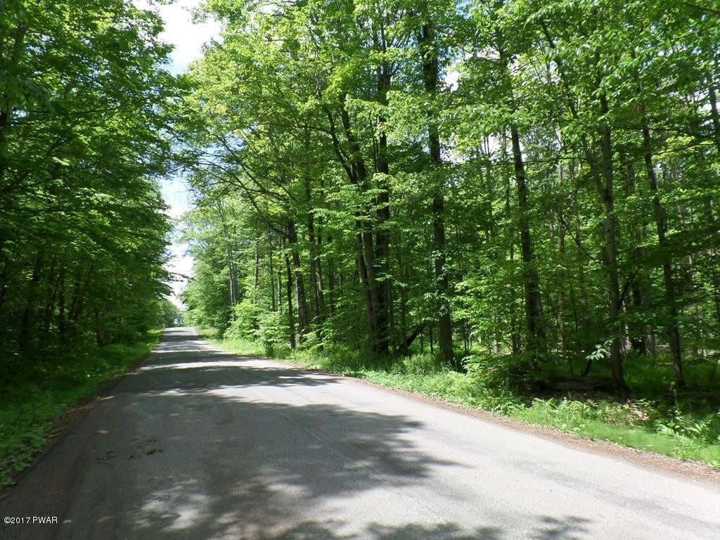Lot 1 Avoy & Wallace Road Lake Ariel, PA 18436 - Photo 3 of 6