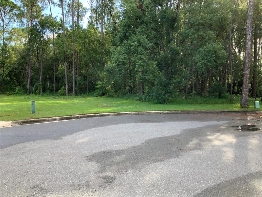 Timber Lane Eustis, FL 32726 - Photo 2 of 5 a view of a park