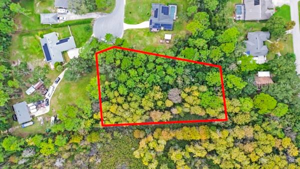 Timber Lane Eustis, FL 32726 - Photo 5 of 5