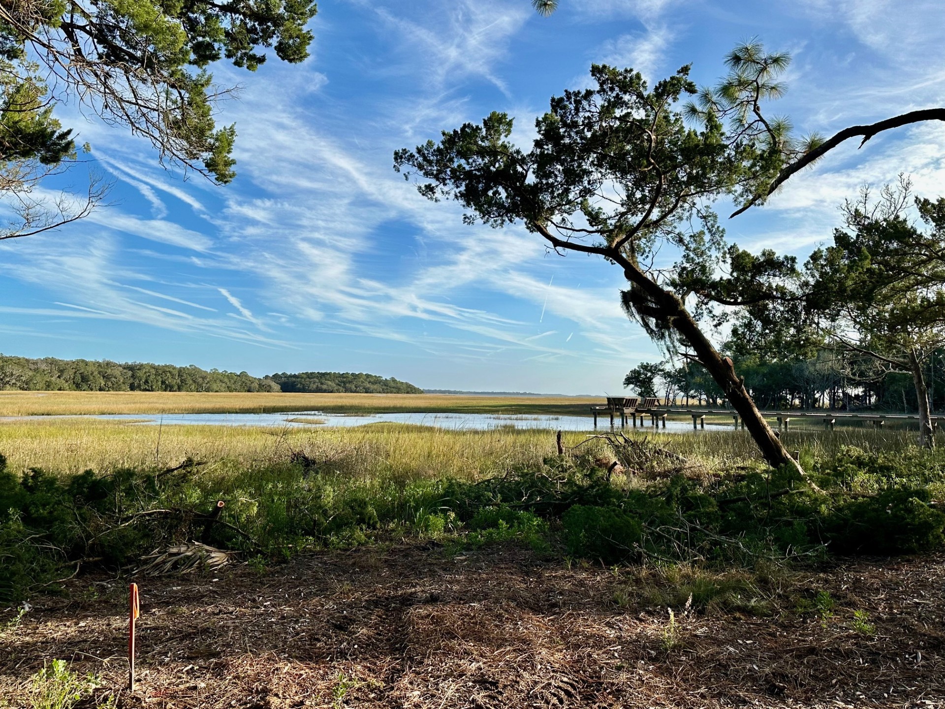99 Marsh Court Fernandina Beach, FL 32034 - Photo 1 of 24 a view of a lake with a yard