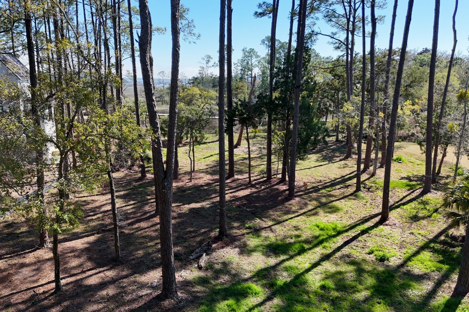 99 Marsh Court Fernandina Beach, FL 32034 - Photo 13 of 24 a view of a yard with plants and trees