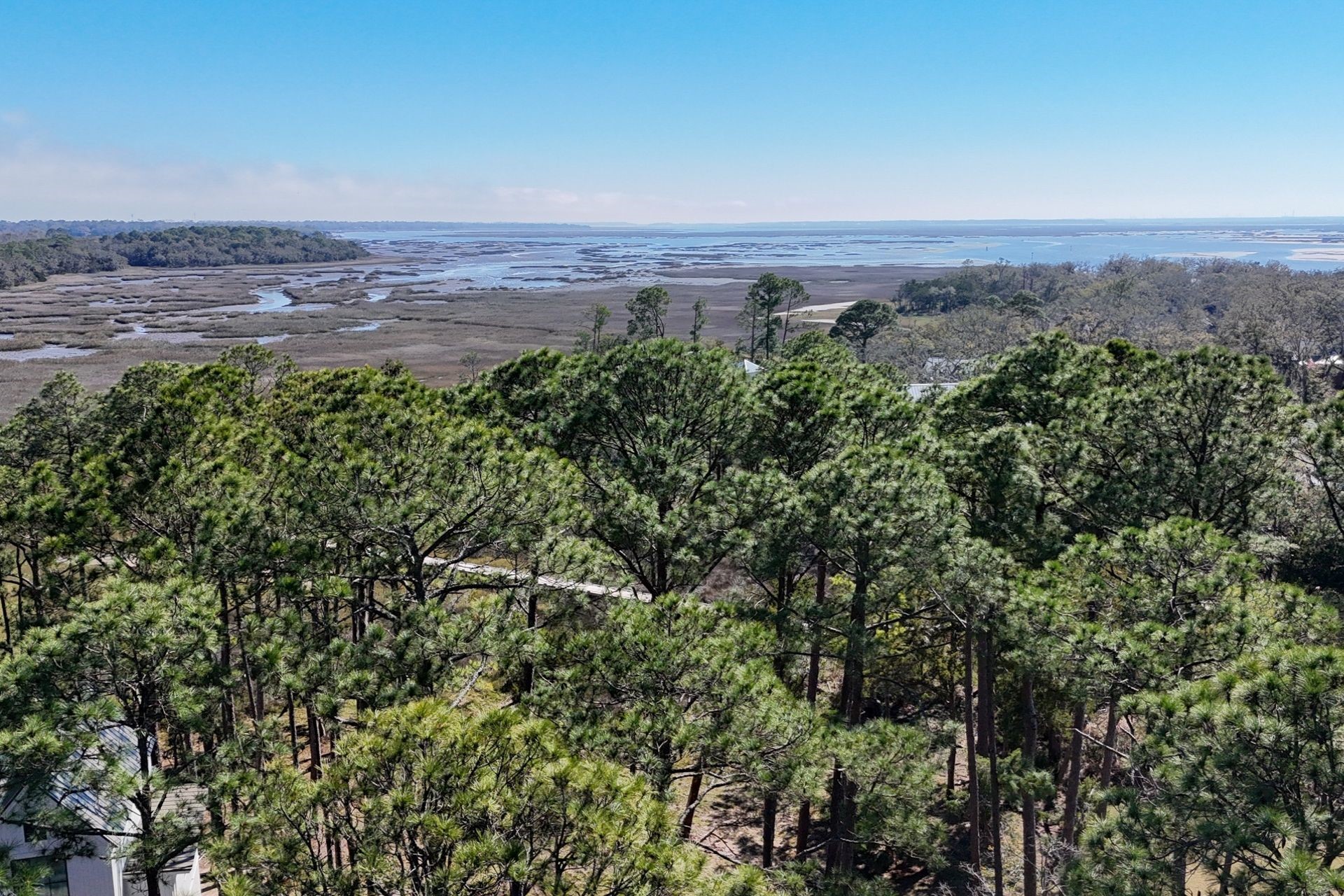 99 Marsh Court Fernandina Beach, FL 32034 - Photo 4 of 24 an aerial view of a houses with a yard