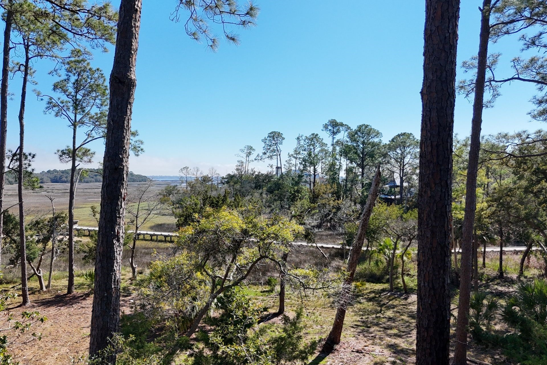 99 Marsh Court Fernandina Beach, FL 32034 - Photo 9 of 24 a view of a garden with mountain