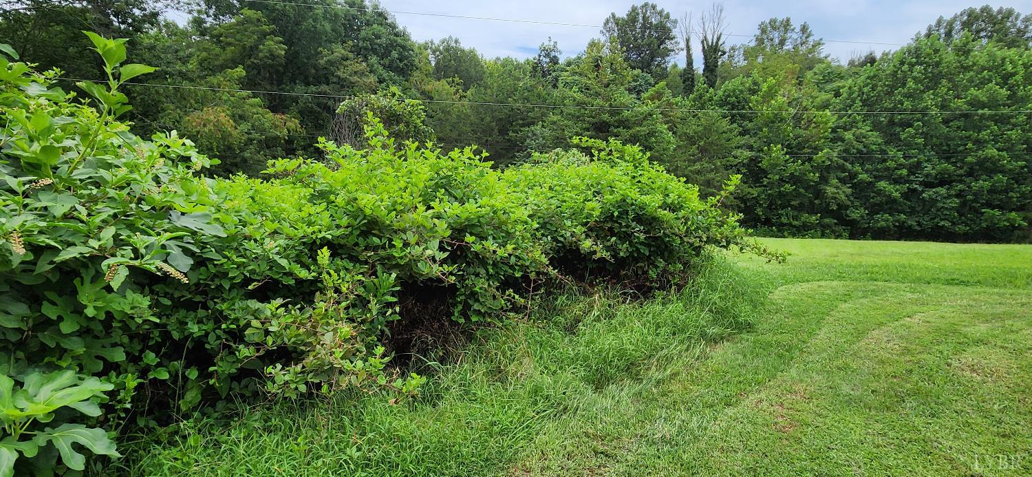 13384 Hardy Road Hardy, VA 24101 - Photo 21 of 74