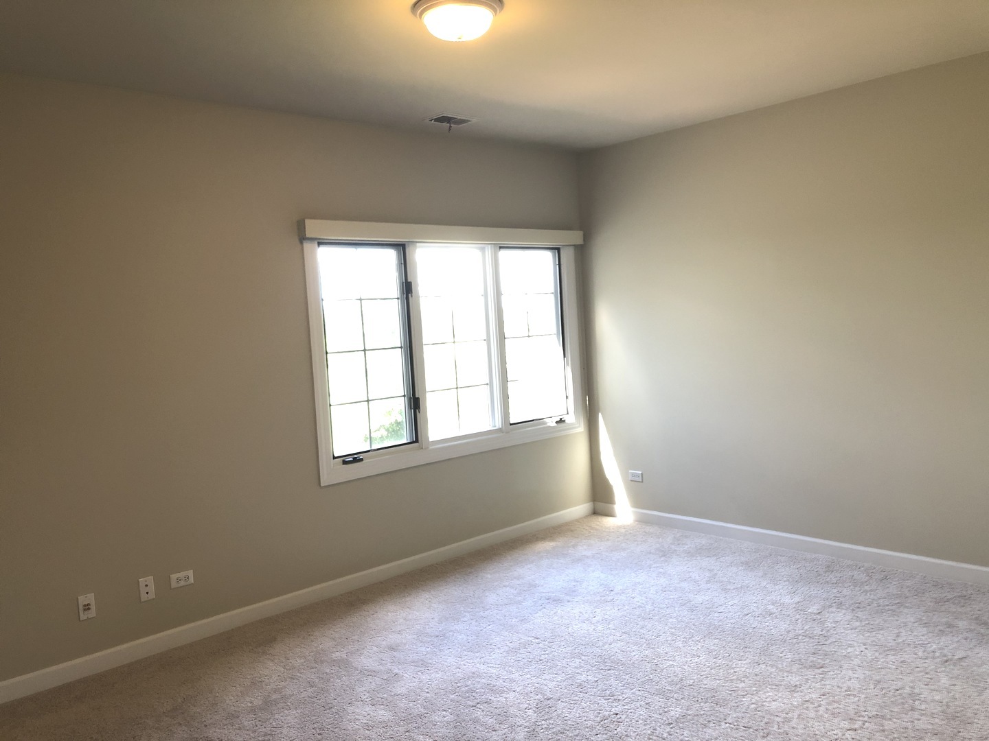 38 Long Cove Drive Lemont, IL 60439 - Photo 16 of 24 an empty room with a window