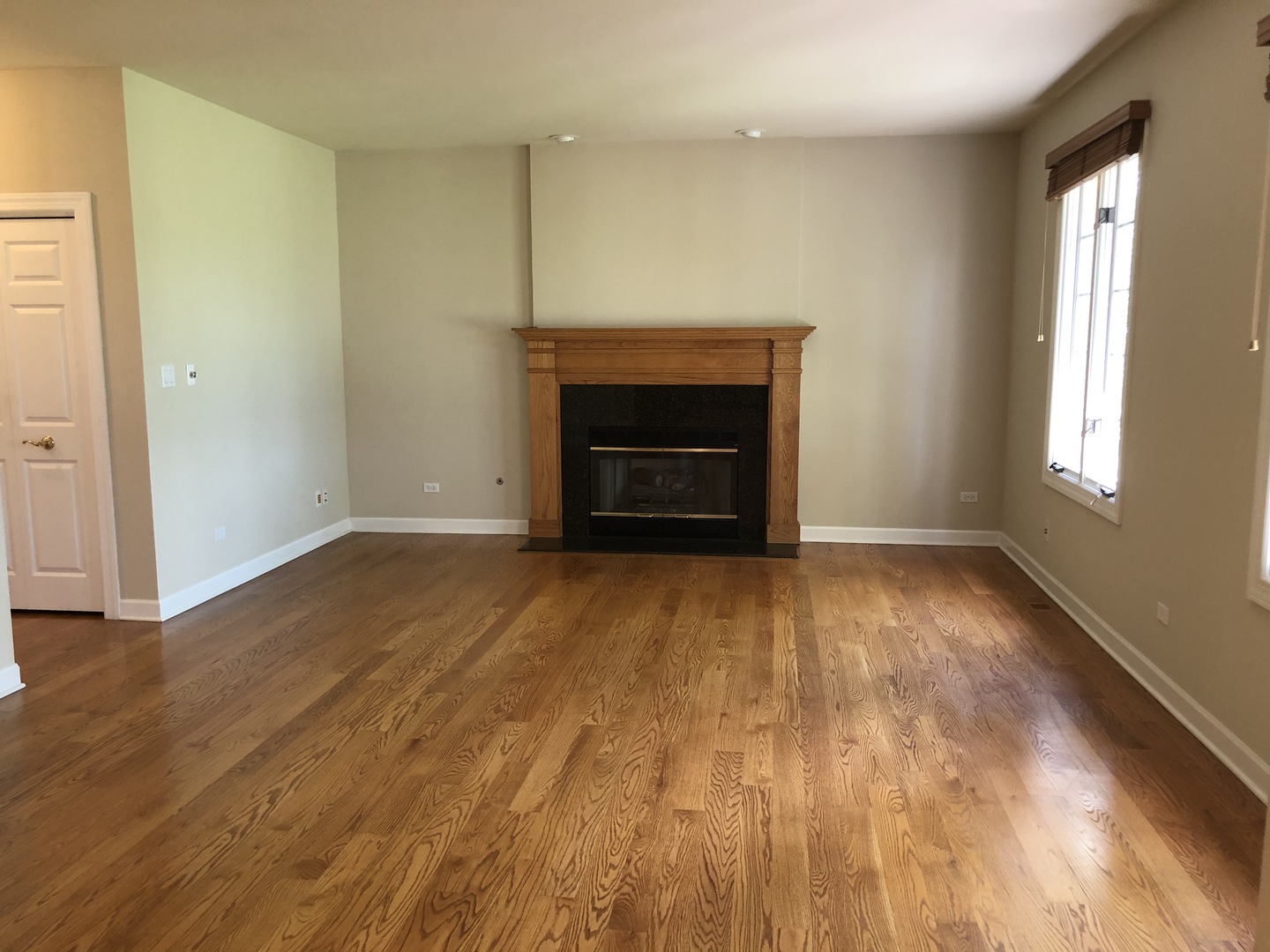 38 Long Cove Drive Lemont, IL 60439 - Photo 8 of 24 an empty room with wooden floor a fireplace and windows