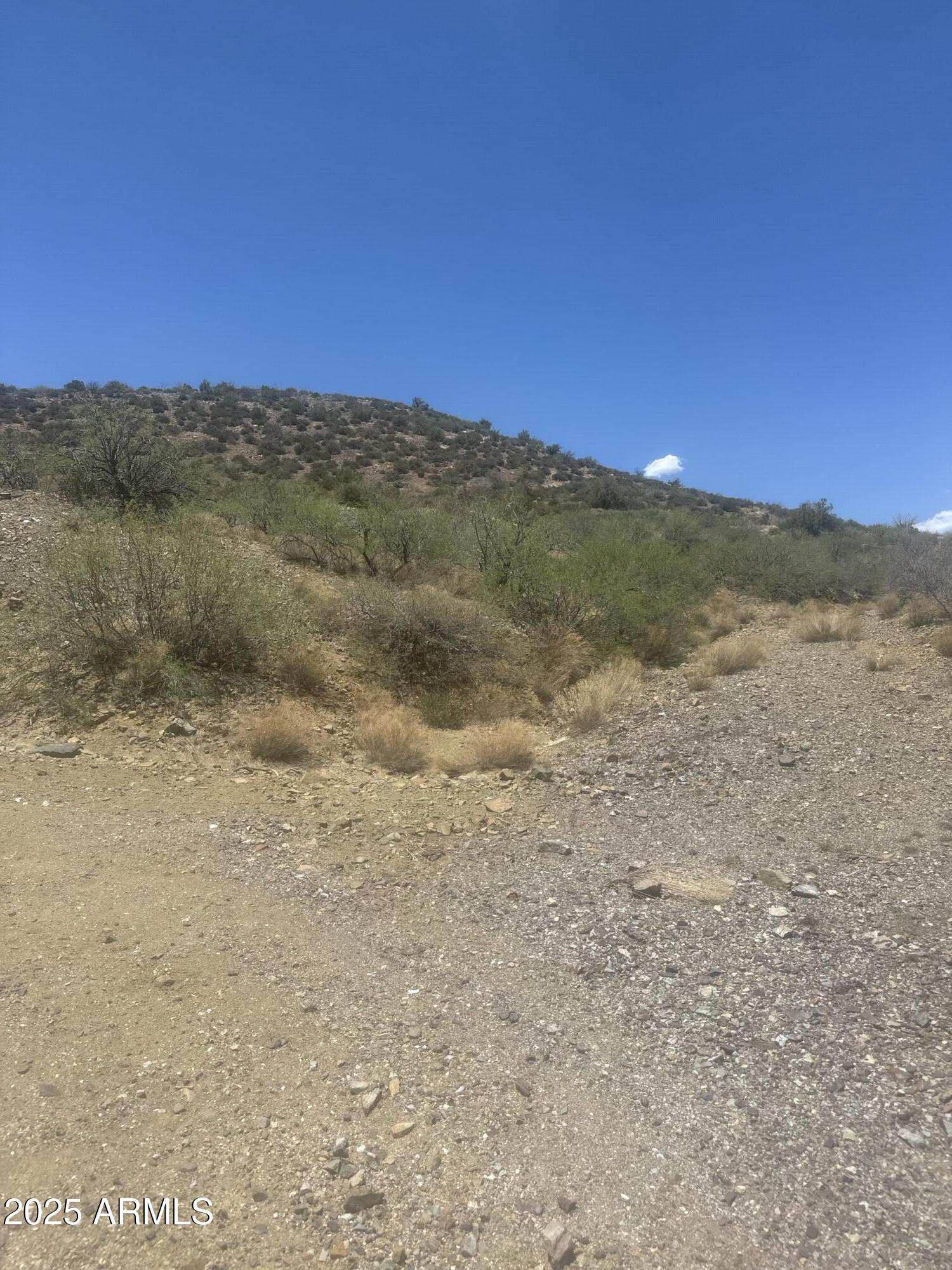 98 Copper Canyon Ranch Road Globe, AZ 85501 - Photo 6 of 20 a view of a dry yard