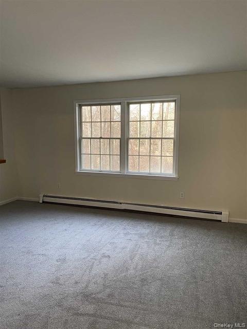 272 Van Wyck Lake Road Fishkill, NY 12524 - Photo 10 of 24