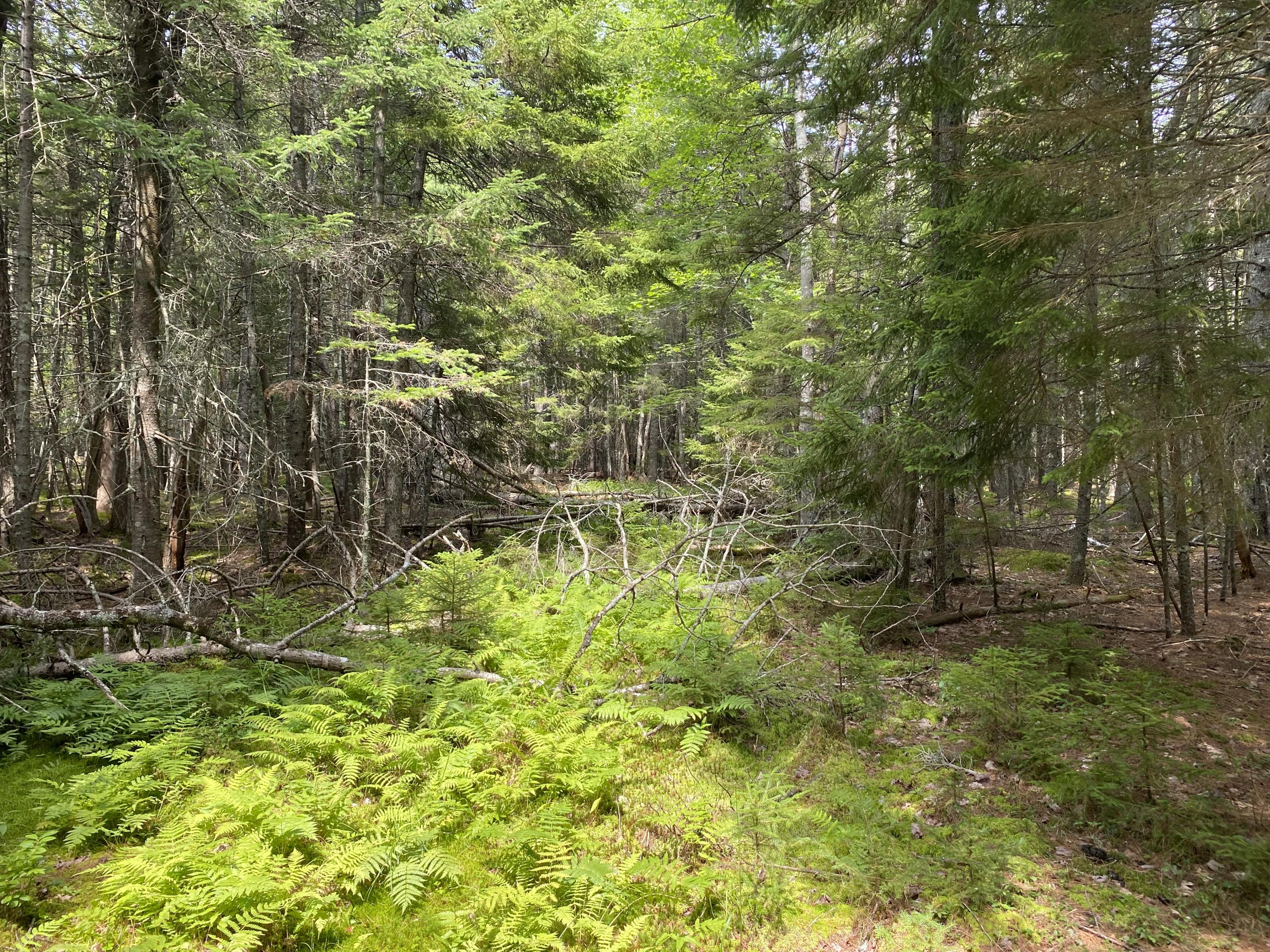 30-14a Meadow Pond Road Islesboro, ME 04848 - Photo 4 of 13 ROW