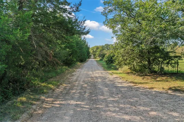 a view of a big yard with lots of bushes
