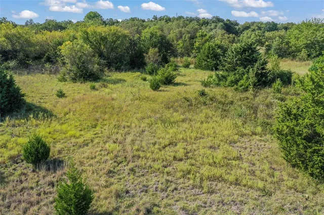 a view of a bunch of trees and bushes