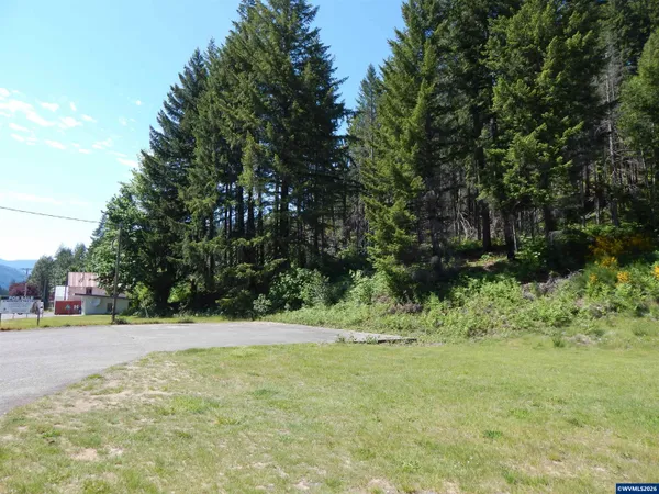 $199,900 | Lot 900-1000 North Santiam Highway, Idanha, OR 97350