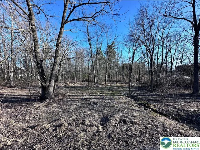 a view of a backyard with large trees