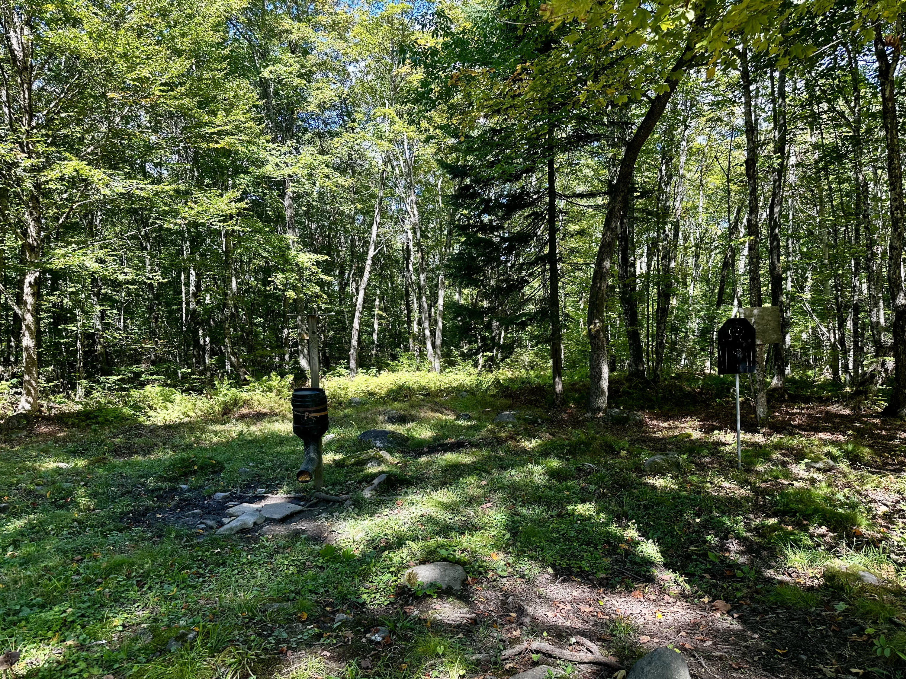 78 Oak Ridge Road Shirley, ME 04485 - Photo 16 of 43 IMG_9046 2