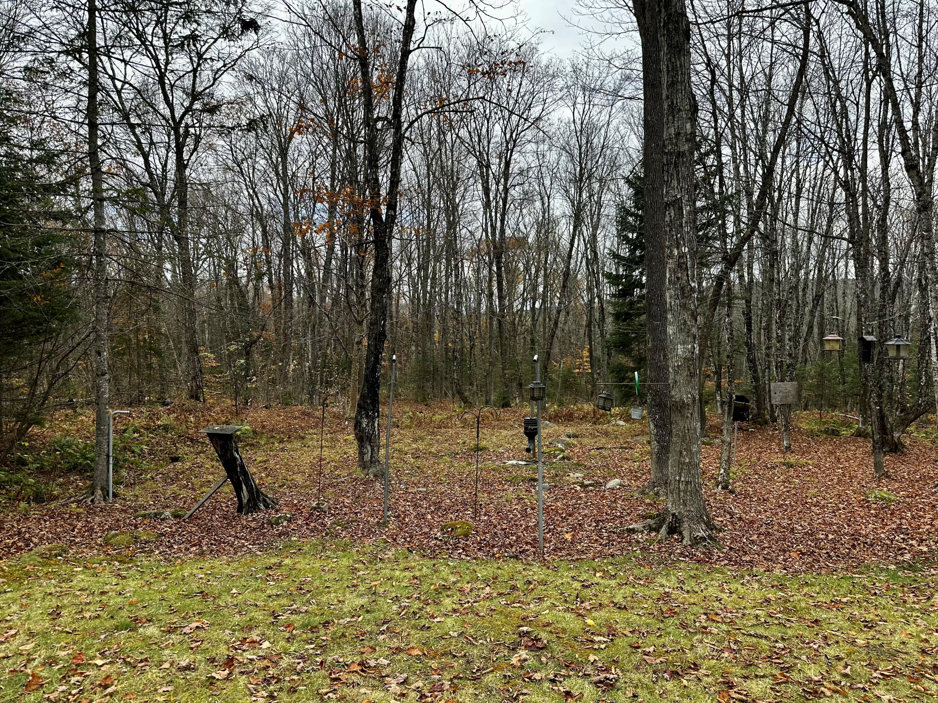 78 Oak Ridge Road Shirley, ME 04485 - Photo 41 of 43 IMG_9615