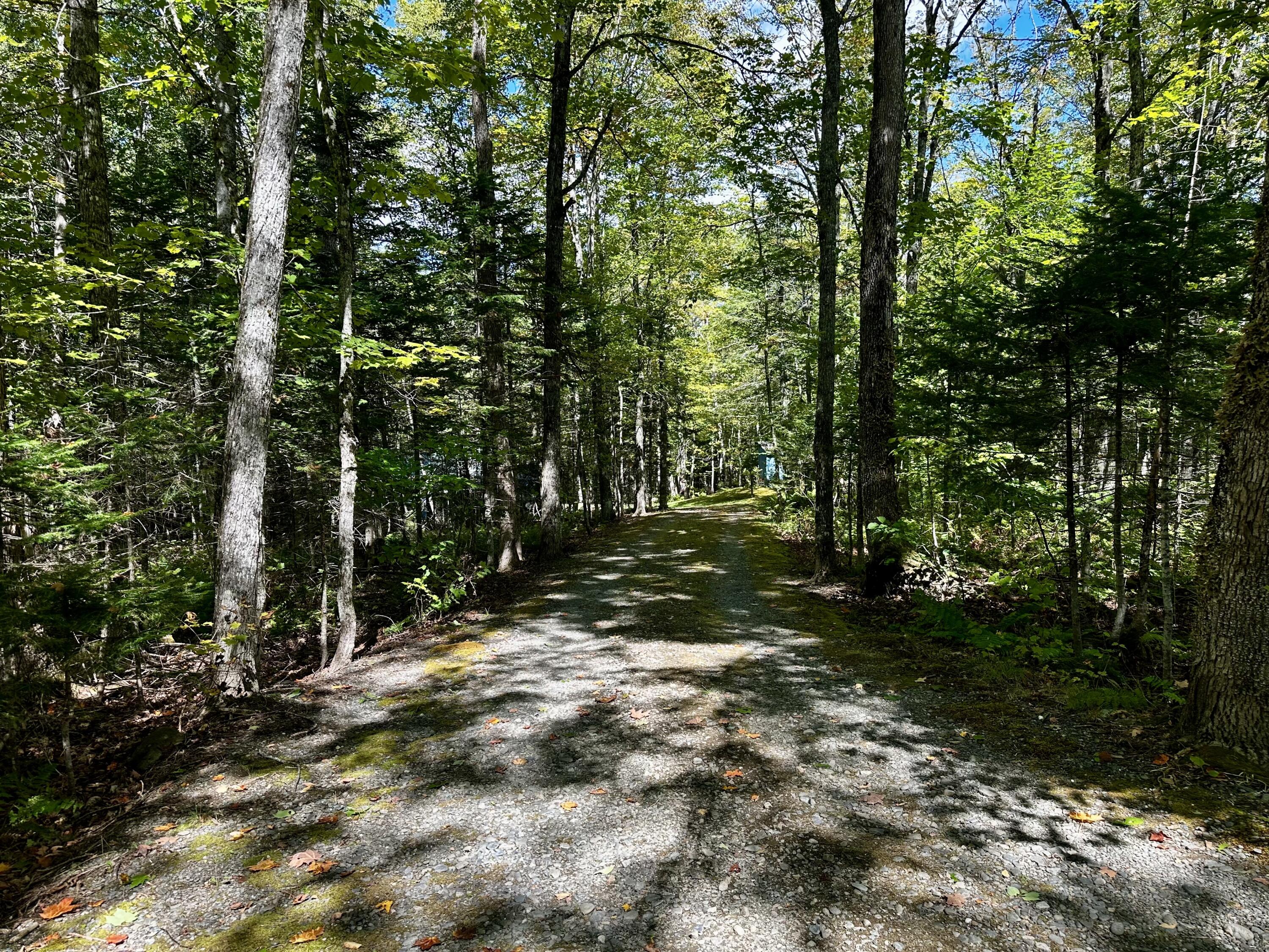 78 Oak Ridge Road Shirley, ME 04485 - Photo 9 of 43 IMG_9034 2