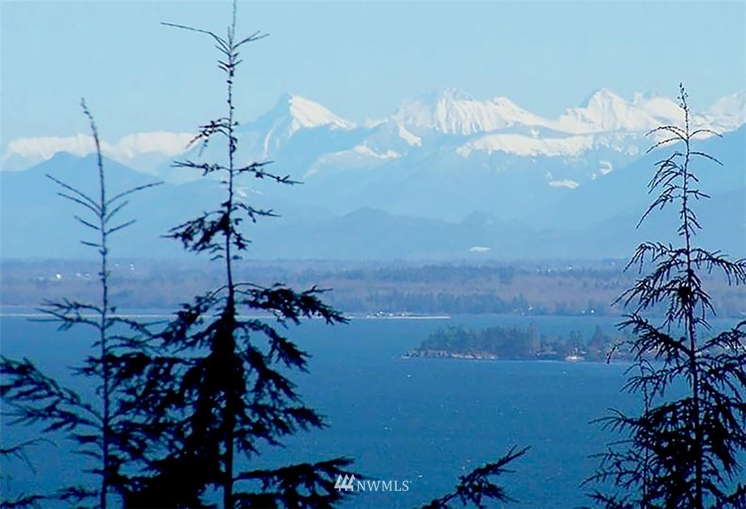 1784 Raccoon Point Road Orcas Island, WA 98245 - Photo 1 of 34 Gallery Image 1