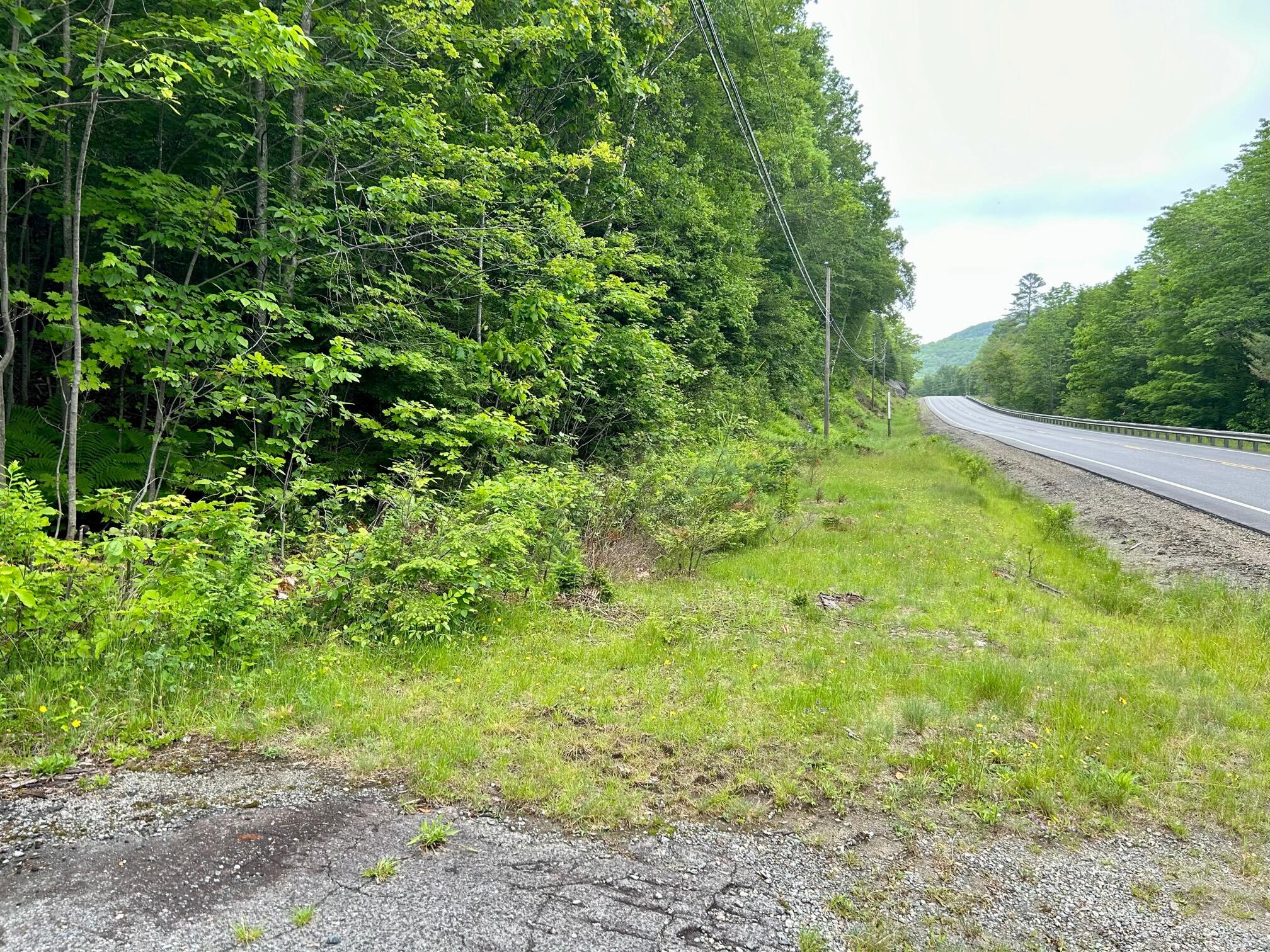 1366 Main Street Kingfield, ME 04947 - Photo 3 of 12 North end of driveway