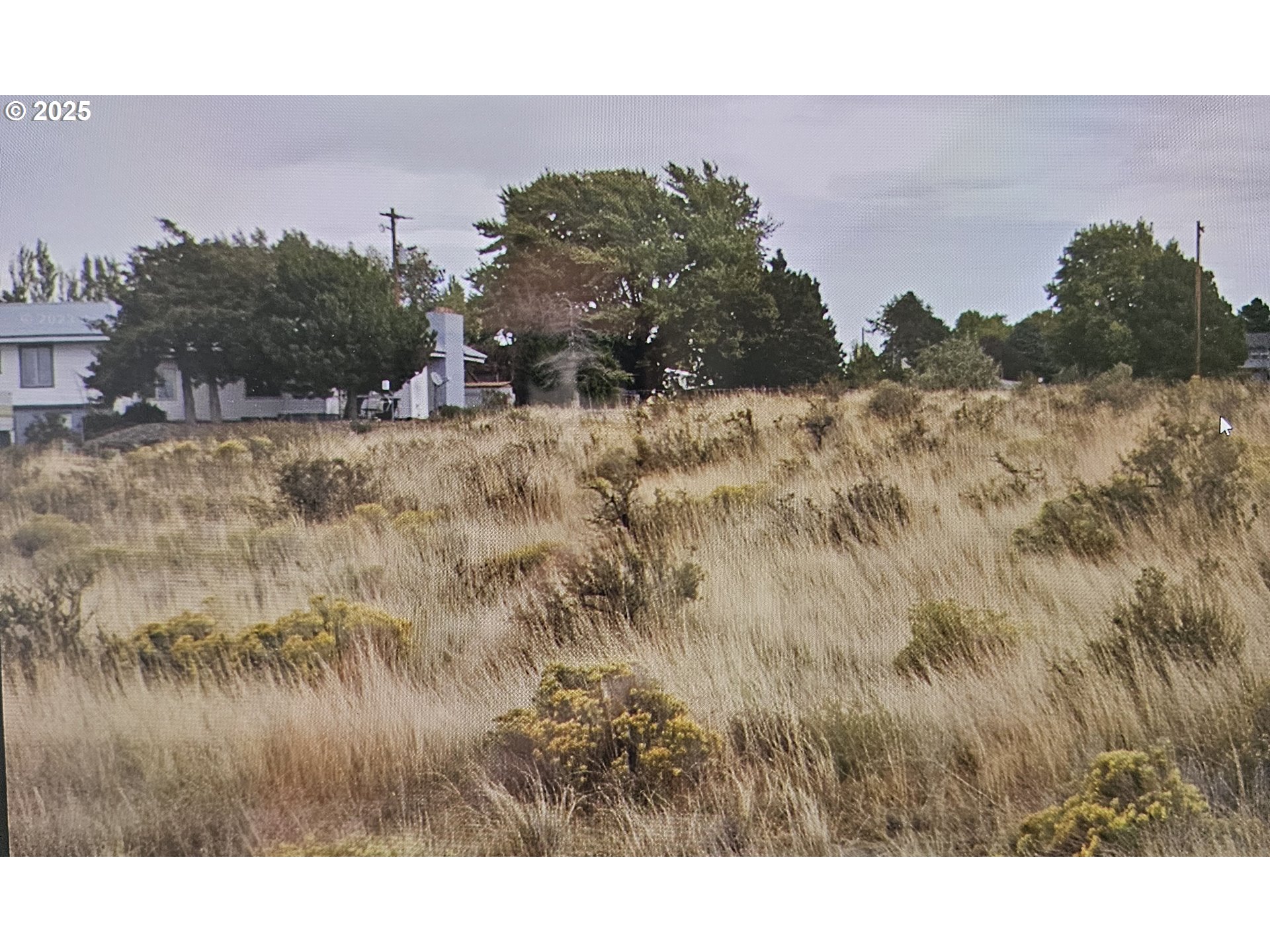 Columbia Way Touchet, WA 99360 - Photo 3 of 7 a view of a dry yard with wooden fence