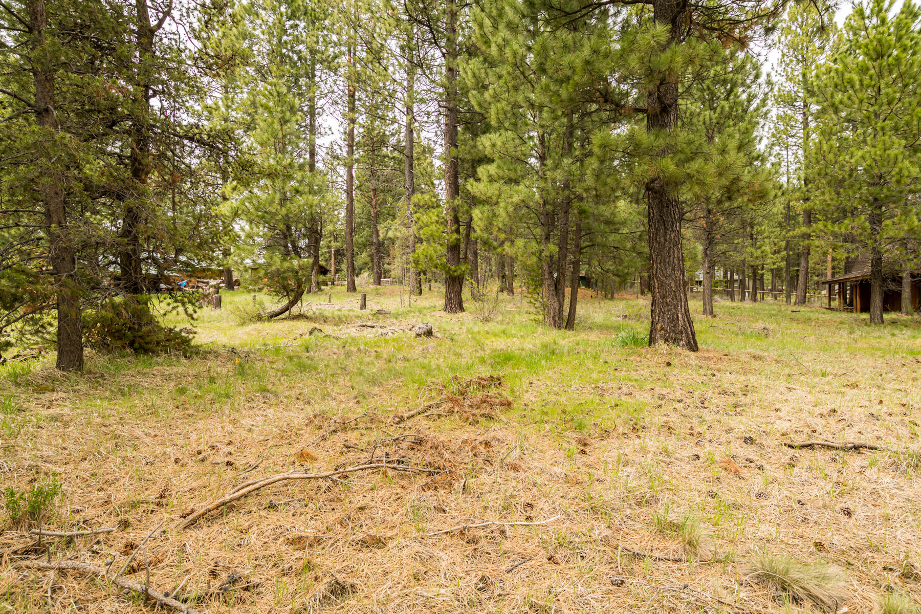 16912 Elsinore Road Bend, OR 97707 - Photo 8 of 15 JH5_9482
