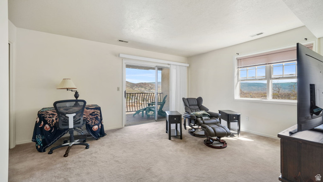 882 Schneitter Circle Midway, UT 84049 - Photo 22 of 54