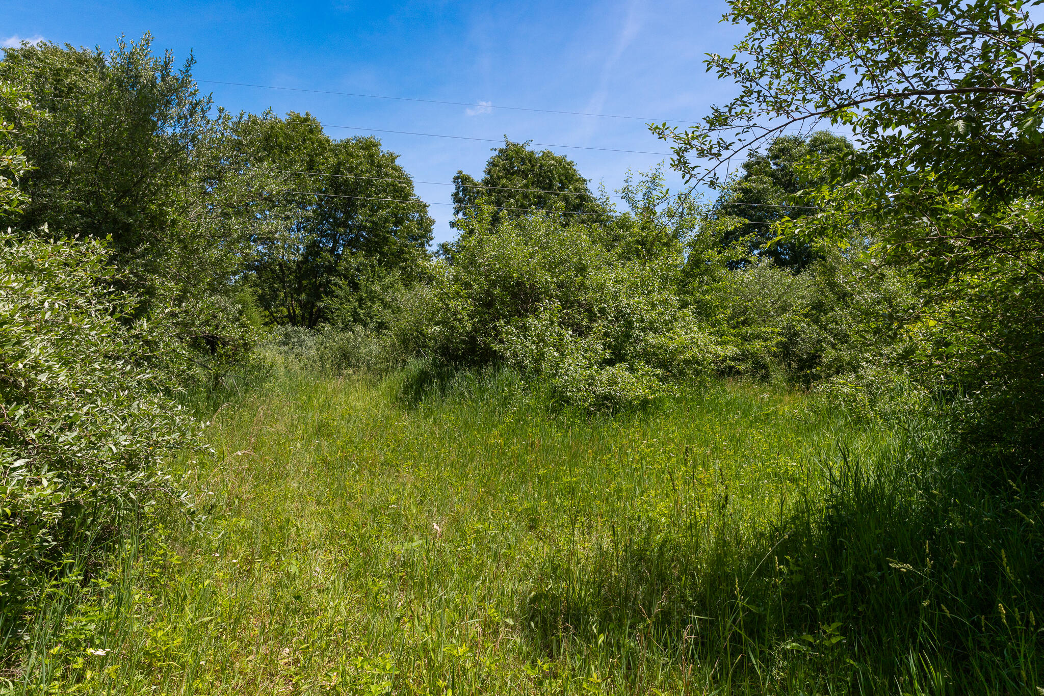 28 28 Mile Road Albion, MI 49224 - Photo 24 of 41 28 Mile -26