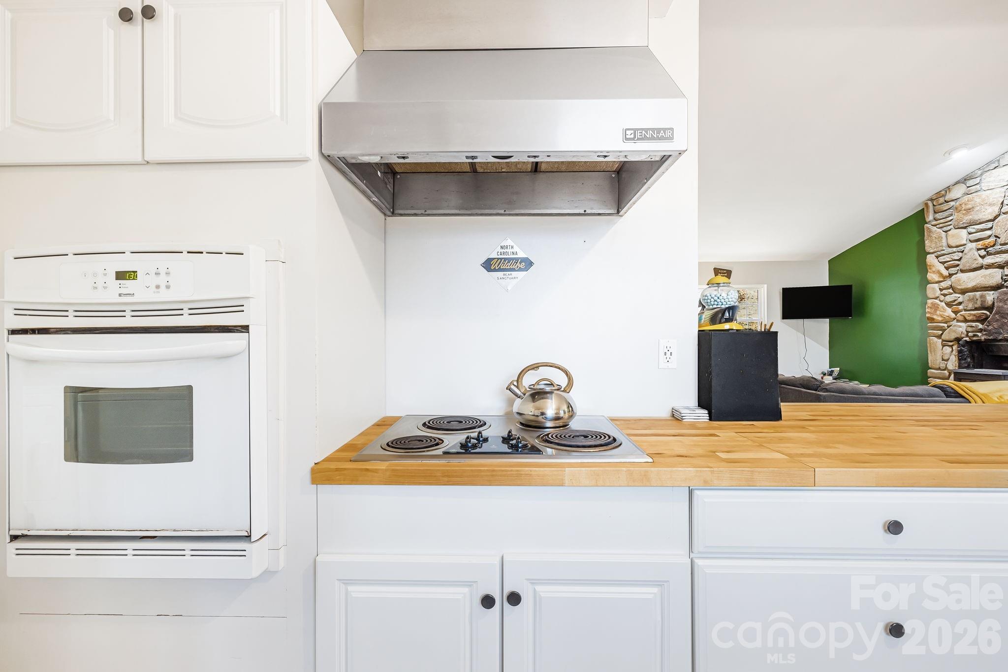 741 Three Mile Knob Road Pisgah Forest, NC 28768 - Photo 22 of 45