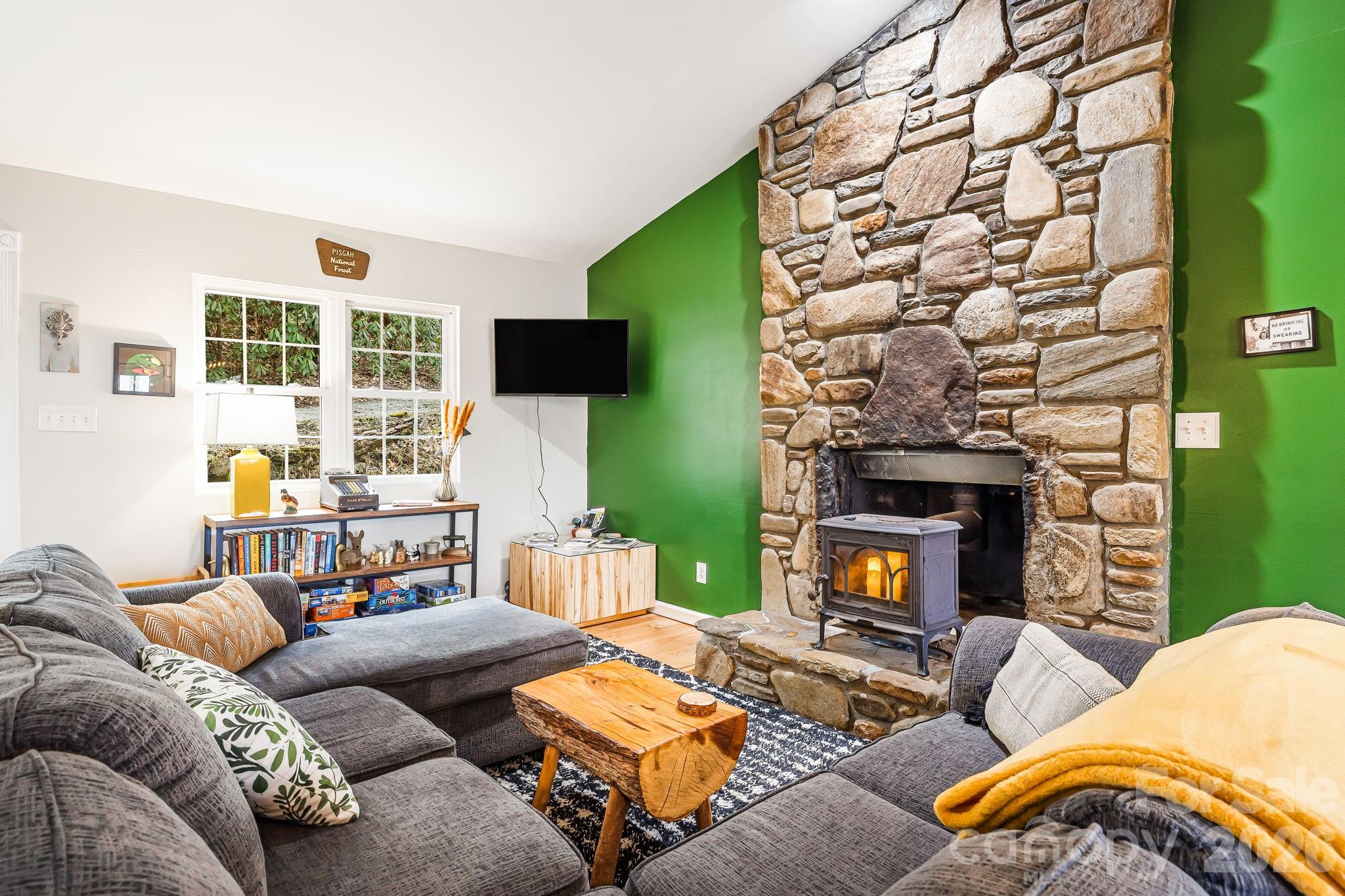 741 Three Mile Knob Road Pisgah Forest, NC 28768 - Photo 6 of 45