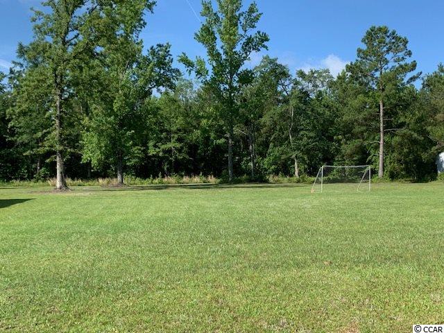 Russ Road Loris, SC 29569 - Photo 1 of 2 Gallery Image 1
