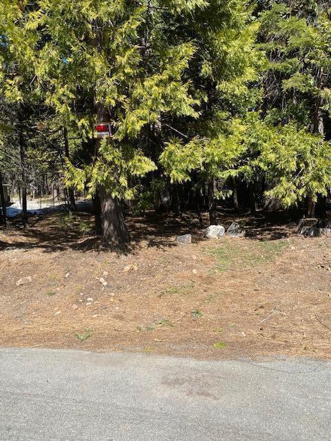 17 Starlite Pines Road Shingletown, CA 96088 - Photo 3 of 5 Starlite Pines