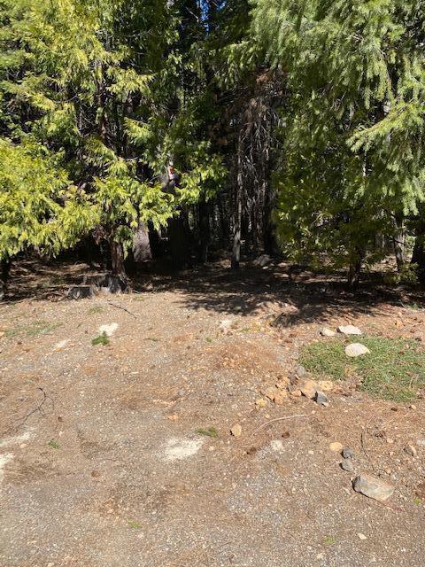 17 Starlite Pines Road Shingletown, CA 96088 - Photo 5 of 5 Starlite Pines