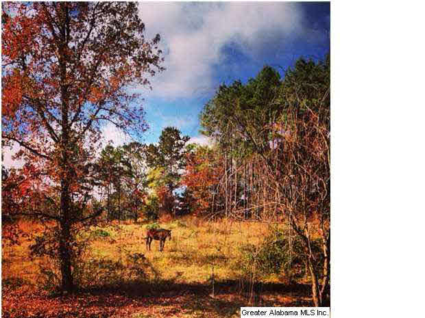 2761 Dry Creek Road Cropwell, AL 35054 - Photo 15 of 21