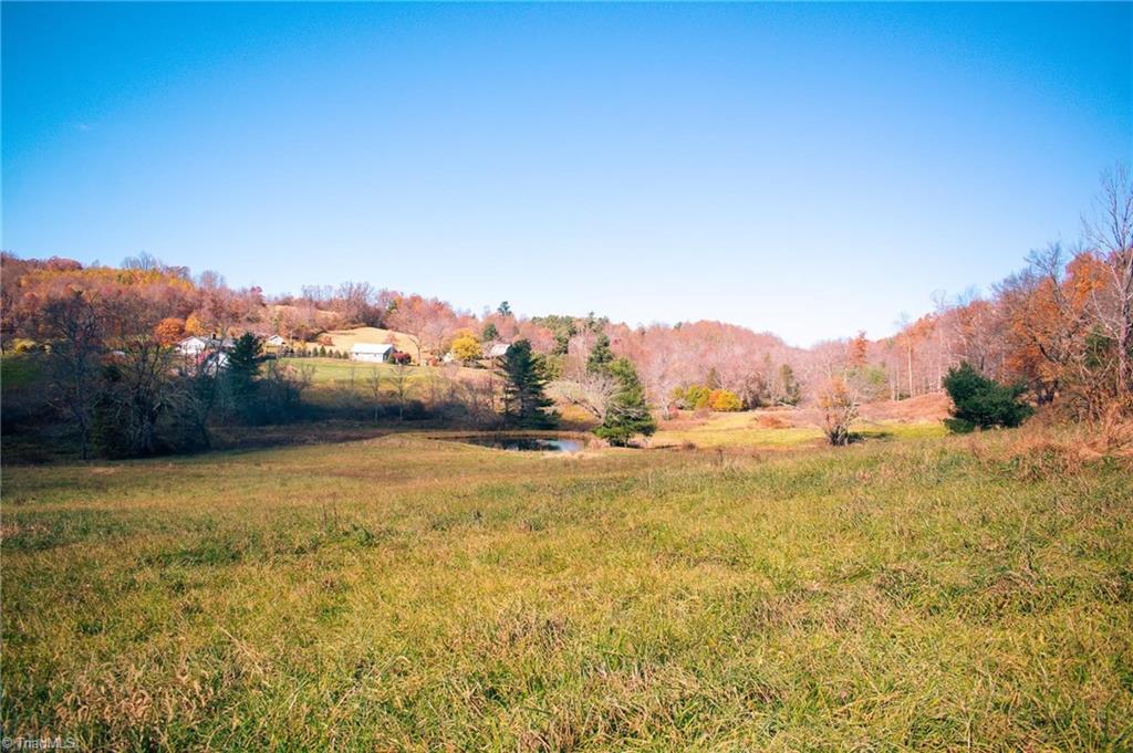 Tbd Terry's Mill Road Meadows Of Dan, VA 24120 - Photo 11 of 32 Gallery Image 11