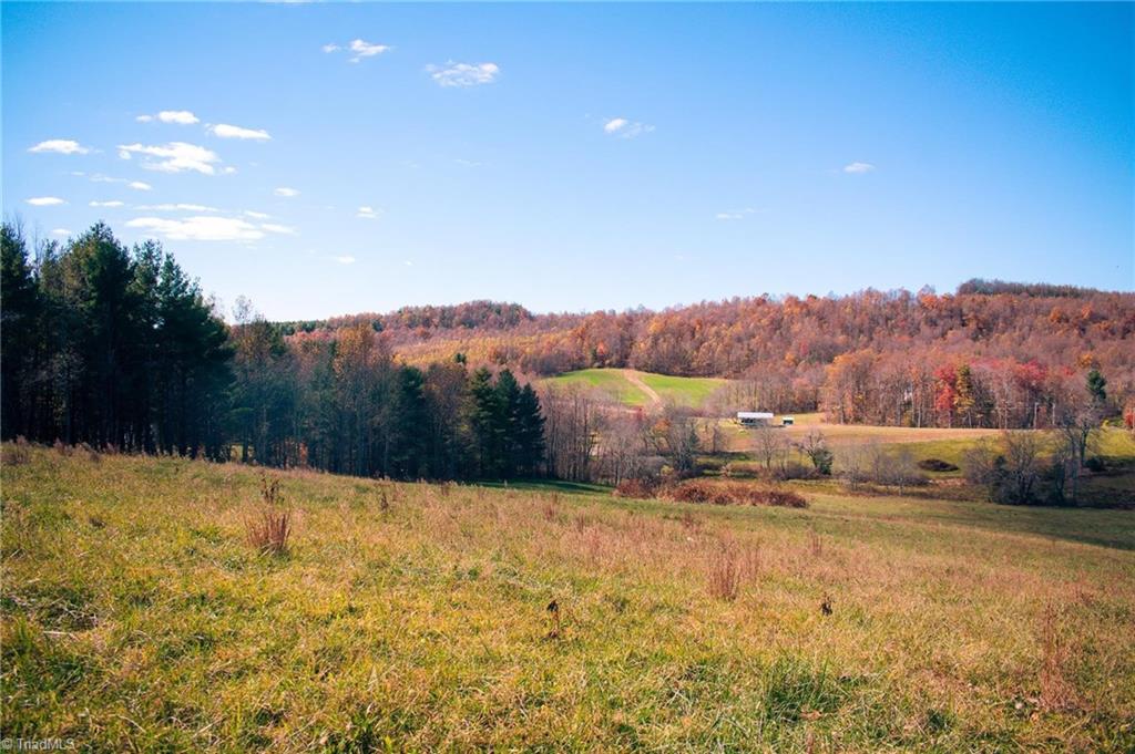 Tbd Terry's Mill Road Meadows Of Dan, VA 24120 - Photo 4 of 32 Gallery Image 4