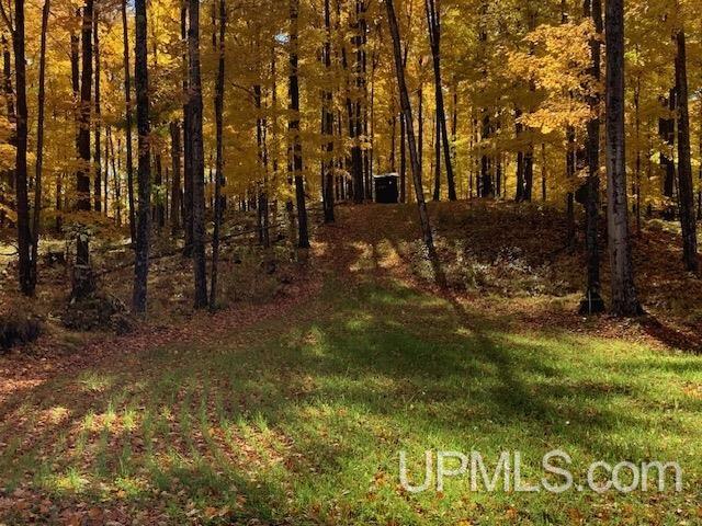 2792 County Line Road Vulcan, MI 49892 - Photo 85 of 99