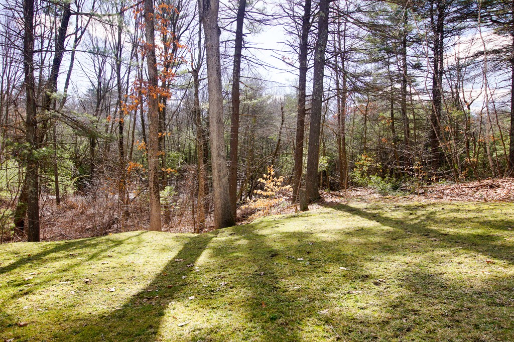 11 Longmeadow Road Norfolk, MA 02056 - Photo 21 of 24 Gallery Image 21