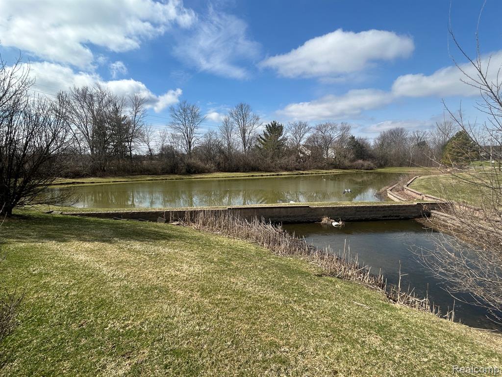 855 Chelsea Road Canton, MI 48187 - Photo 52 of 53