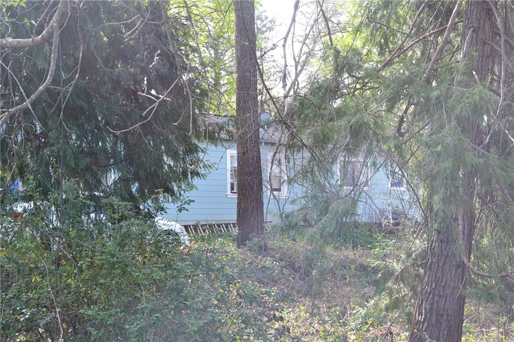 1278 Bennett Road Paradise, CA 95969 - Photo 1 of 1 a view of a forest