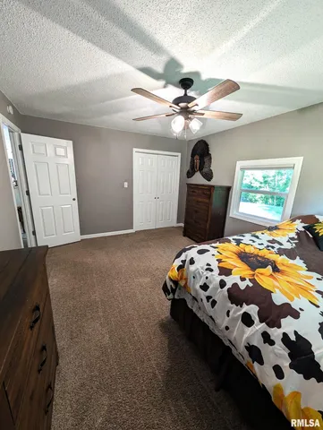 $395,000 | 4538 Harris Road, Salem, IL 62881