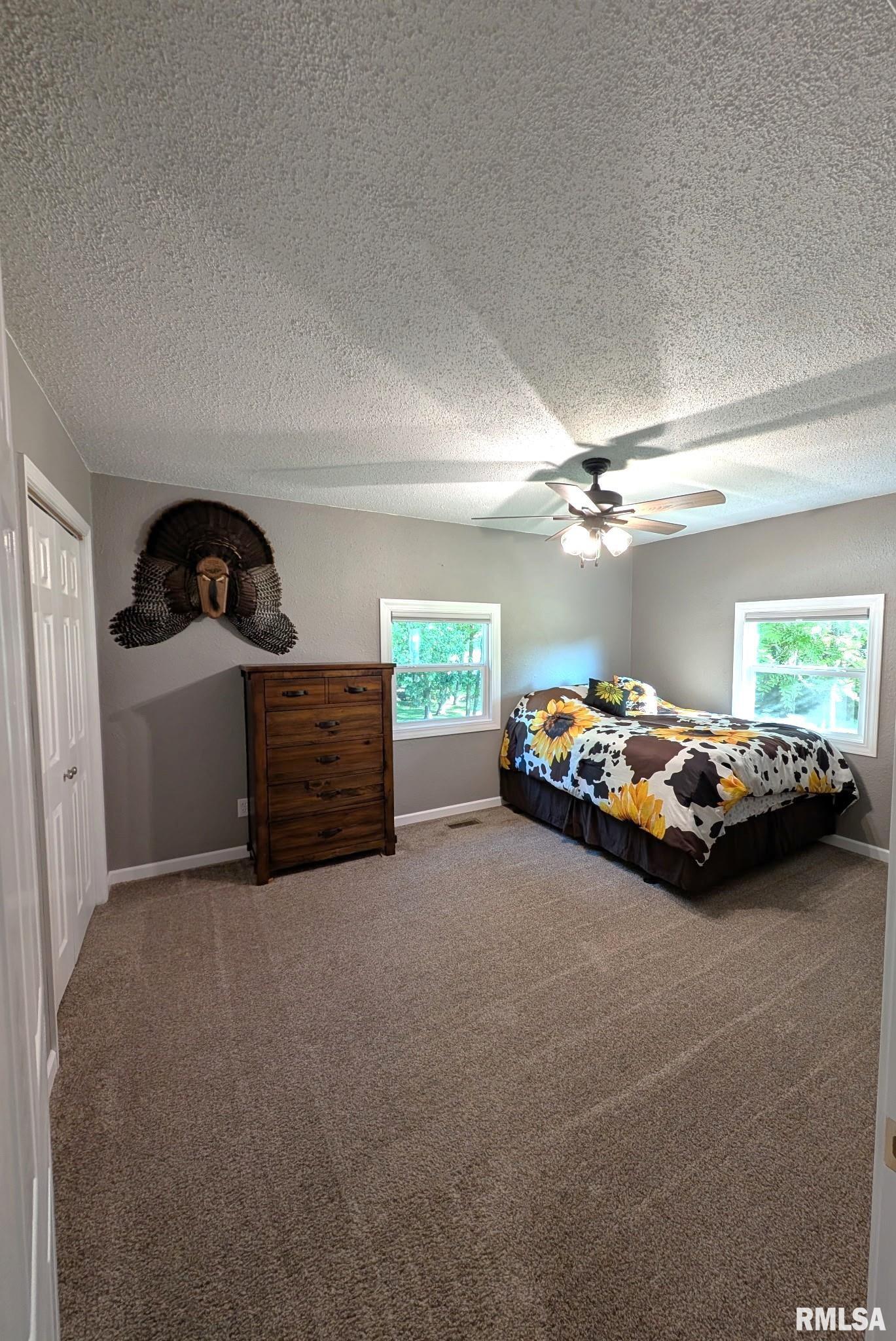 4538 Harris Road Salem, IL 62881 - Photo 21 of 53