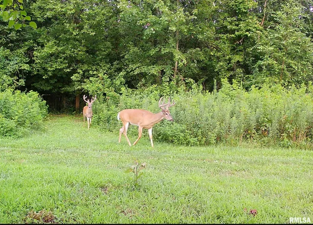 $395,000 | 4538 Harris Road, Salem, IL 62881