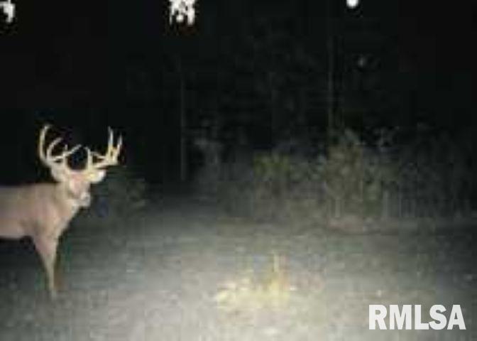 4538 Harris Road Salem, IL 62881 - Photo 49 of 53