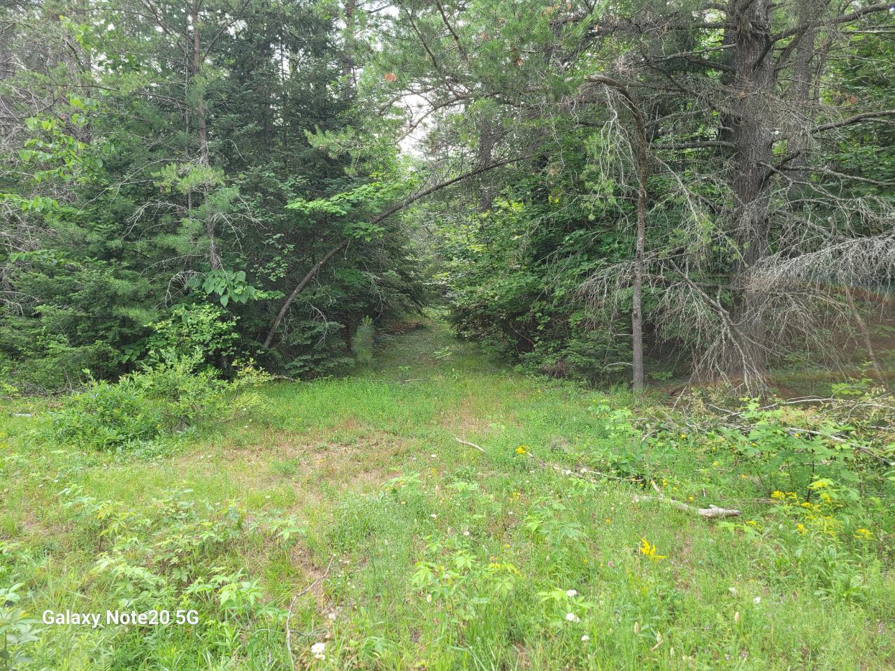 On Long Lake Dam Road Phelps, WI 54554 - Photo 10 of 16 Gallery Image 10