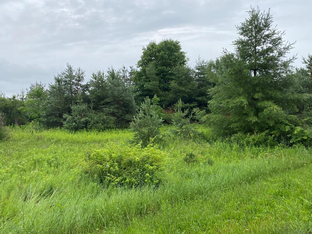 Tbd Logerquist Road Baileys Harbor, WI 54202 - Photo 1 of 1