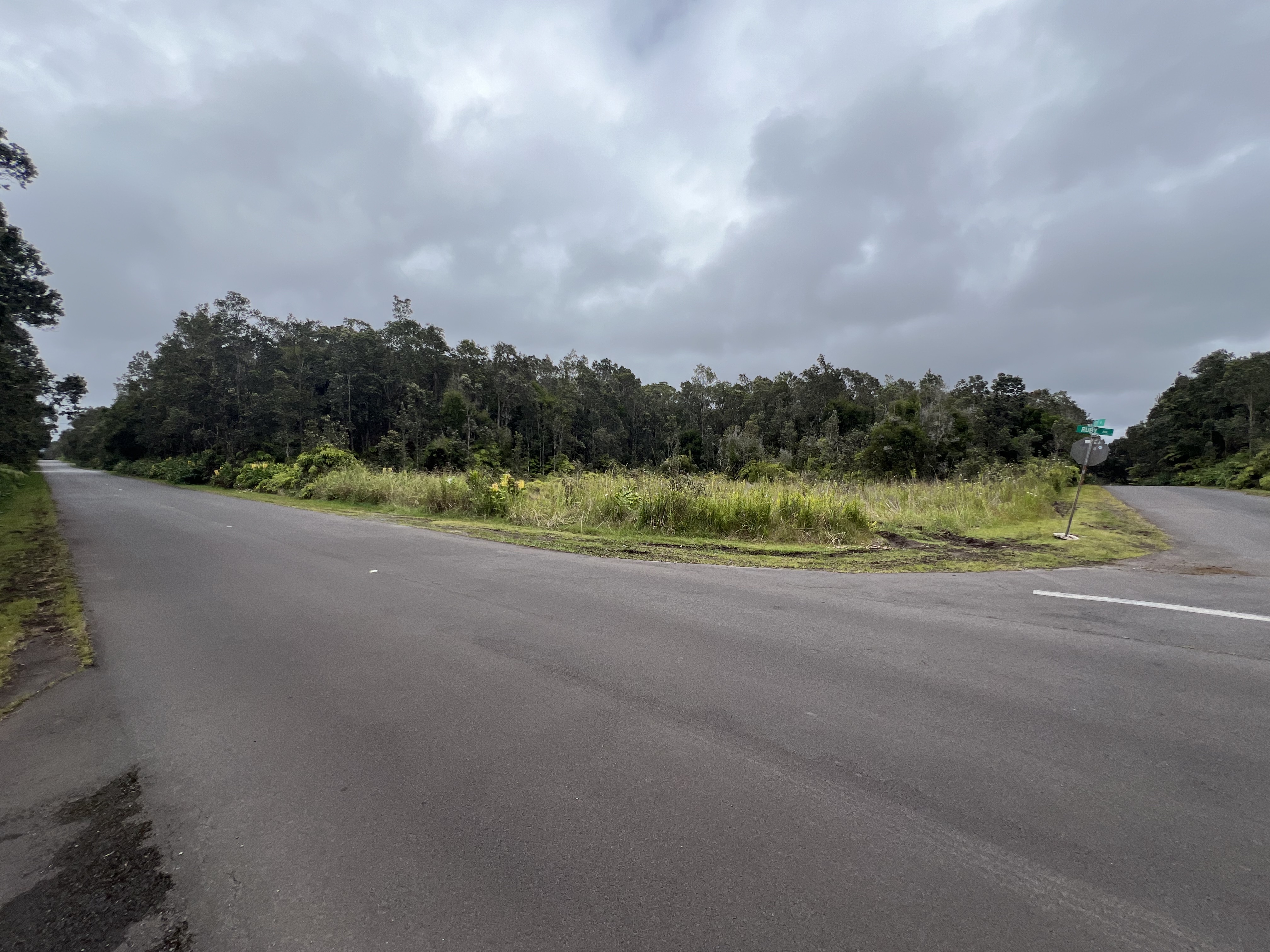 524 6th Street Volcano, HI 96785 - Photo 2 of 4 Gallery Image 2