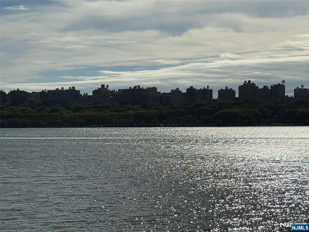 242 The Promenade, Unit 242 Edgewater, NJ 07020 - Photo 12 of 21