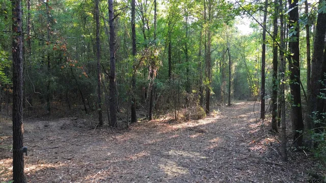 $294,500 | 1324 County Road 4710, Kennard, TX 75847