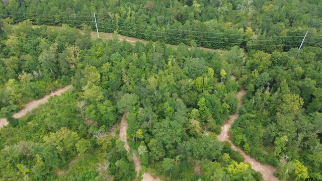 $294,500 | 1324 County Road 4710, Kennard, TX 75847